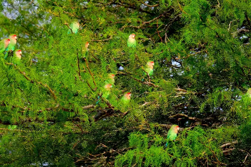 k-DSCF1718.JPG