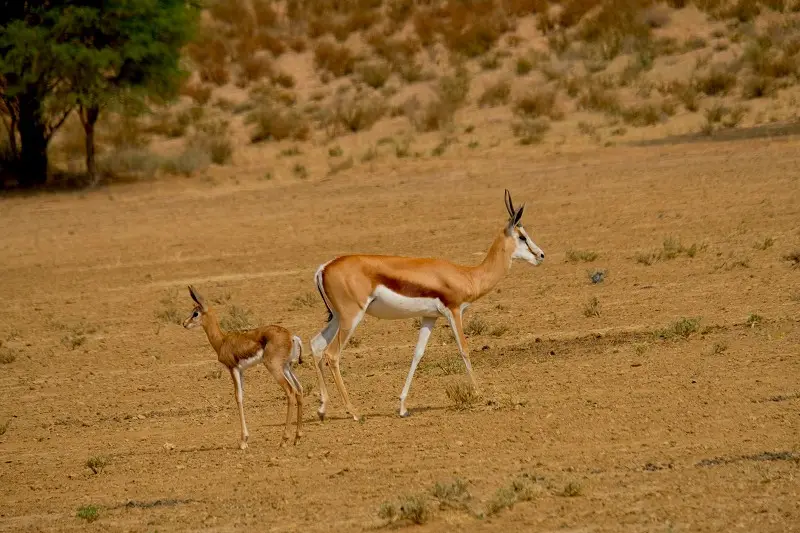 k-DSCF1870-2.JPG