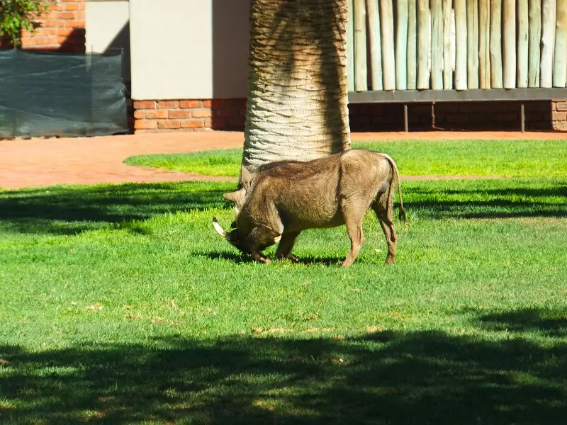 k-DSCF3385.JPG