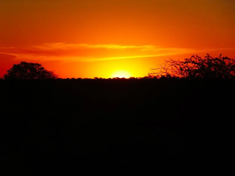 k-DSCF3445.JPG