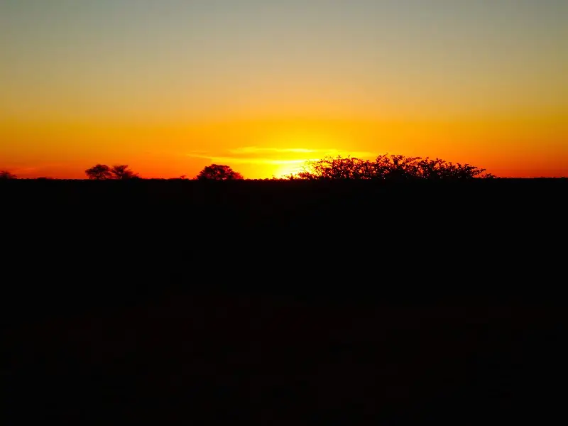 k-DSCF3455.JPG