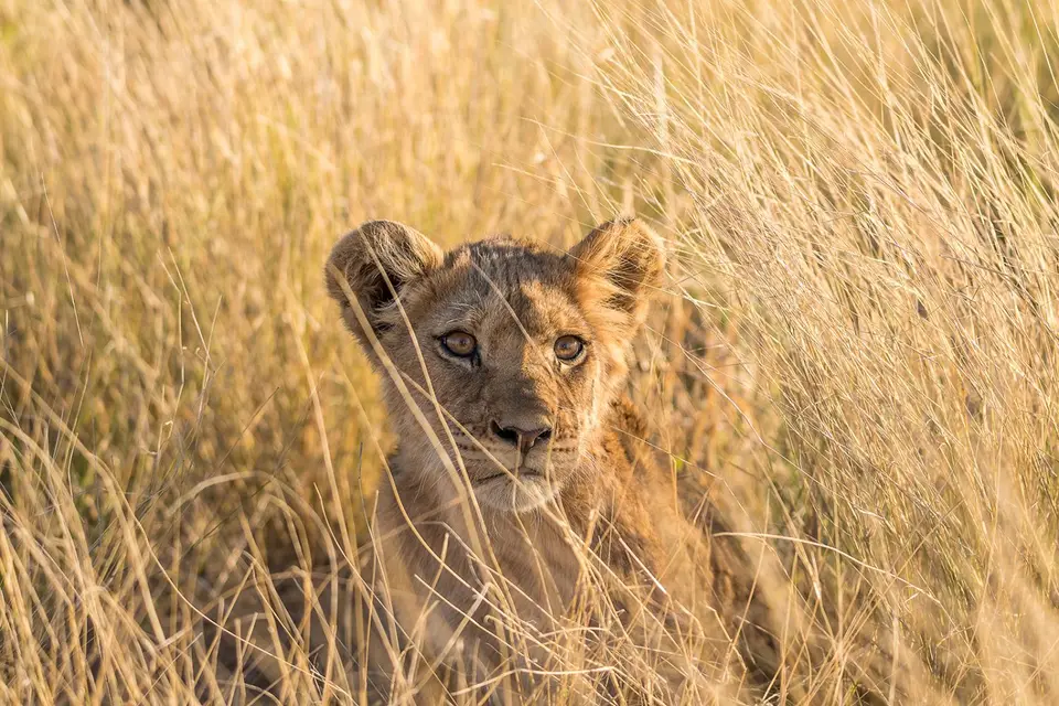 Botswana(253).jpg