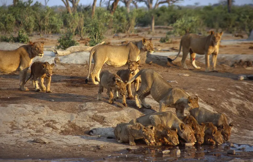 Botswana_1997_134.jpg