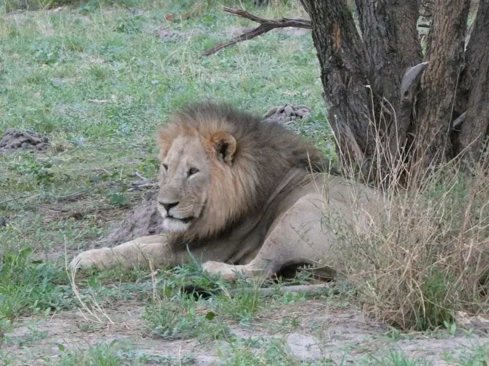 P1015294.JPG