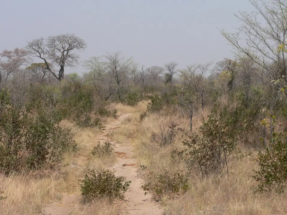 P1050021.JPG