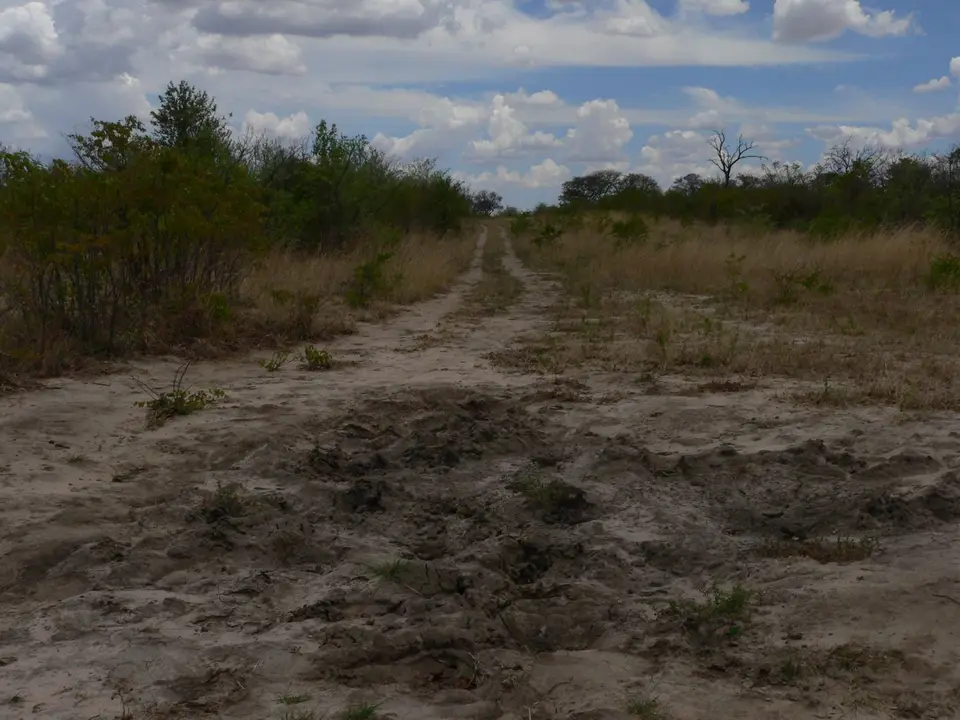 P1080029.JPG