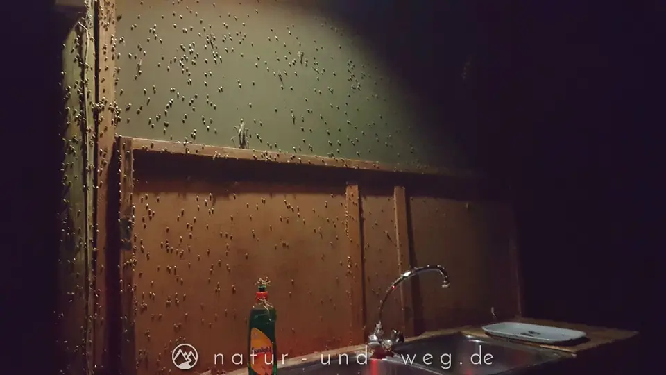 2021-04-03_21-45-21_053.jpg