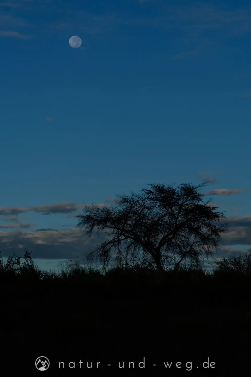 DSC_0055.jpg