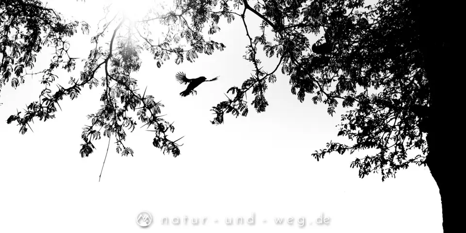 DSC_0330-Bearbeitet.jpg