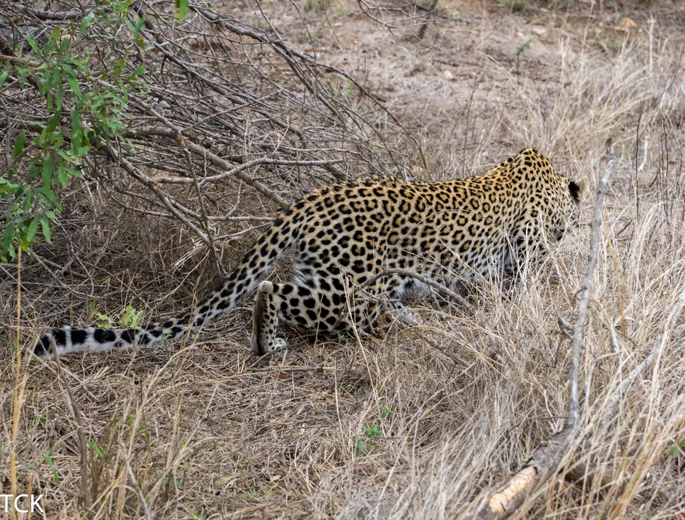 KNP18(1121).jpg