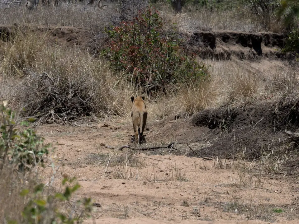 KNP18(2067).jpg