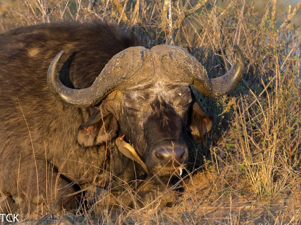 KNP18(213).jpg