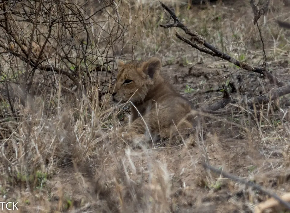 KNP18(219).jpg