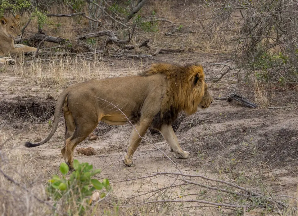 KNP18(2236).jpg