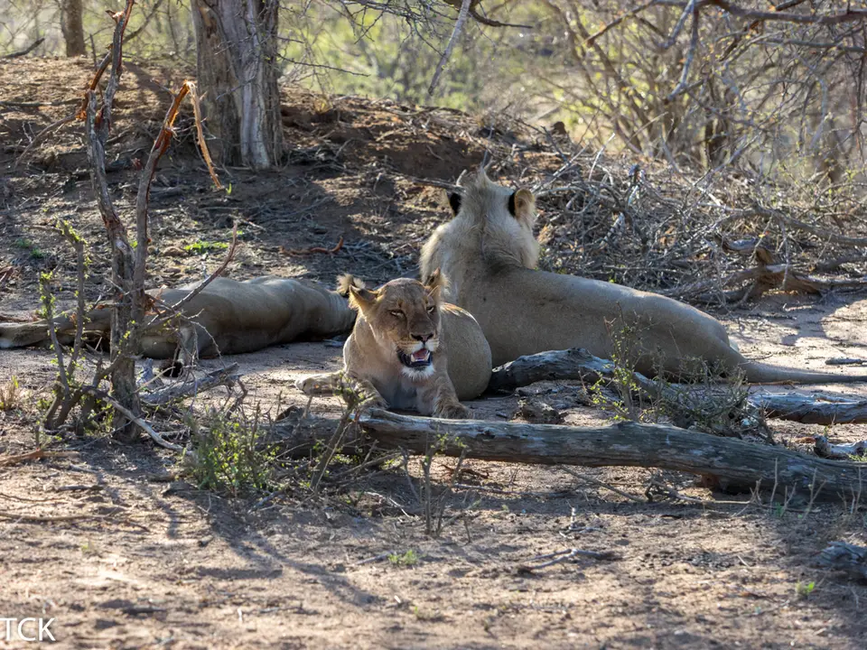 KNP18(2524).jpg