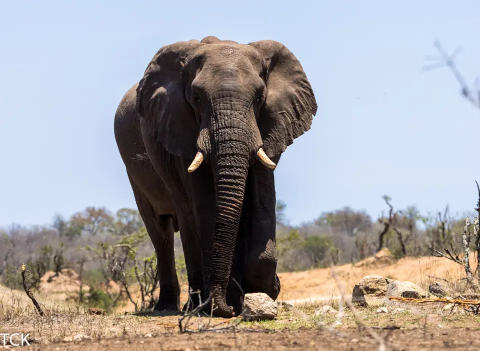 KNP18(265).jpg