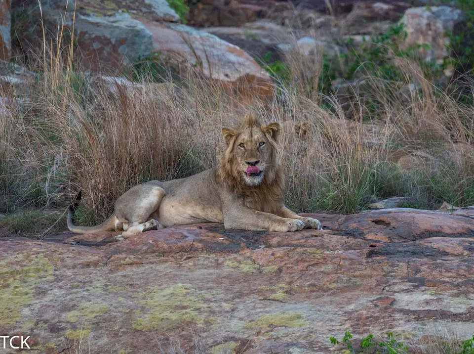 KNP18(744).jpg