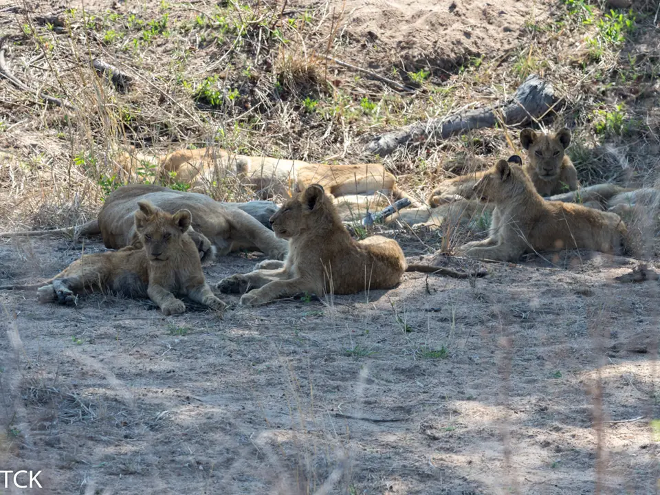 KNP18(844).jpg