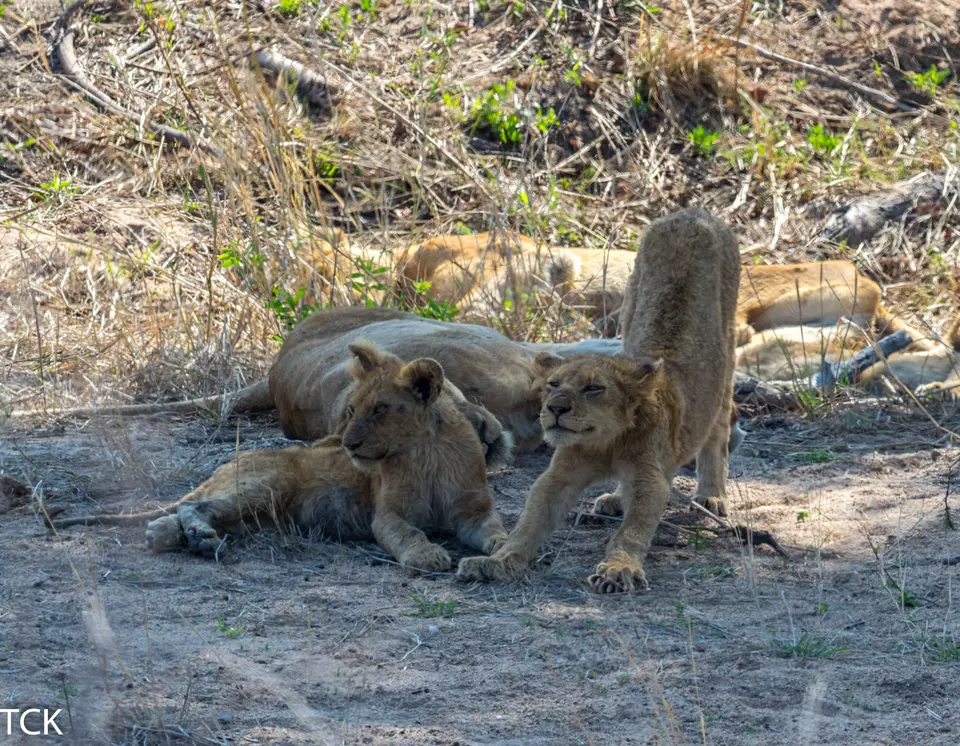 KNP18(849).jpg
