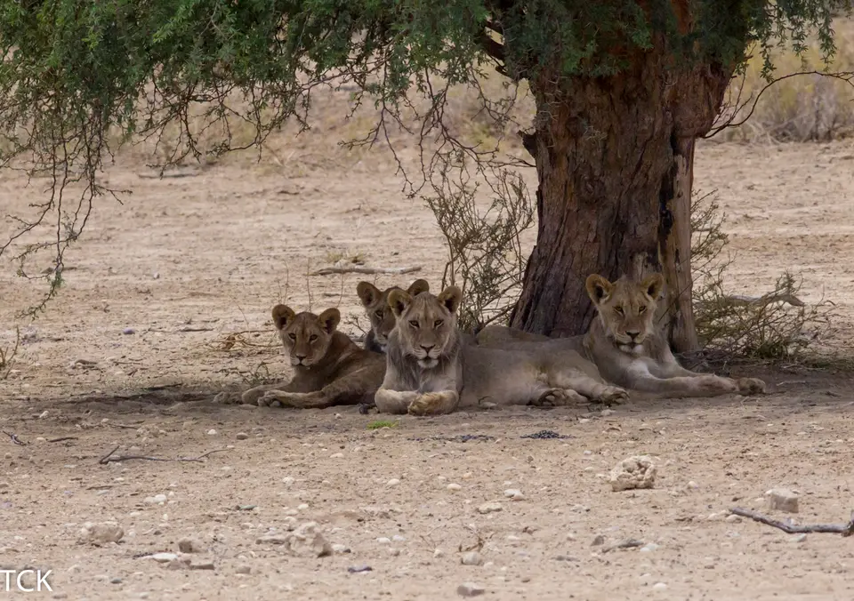KTP2017(1274).jpg