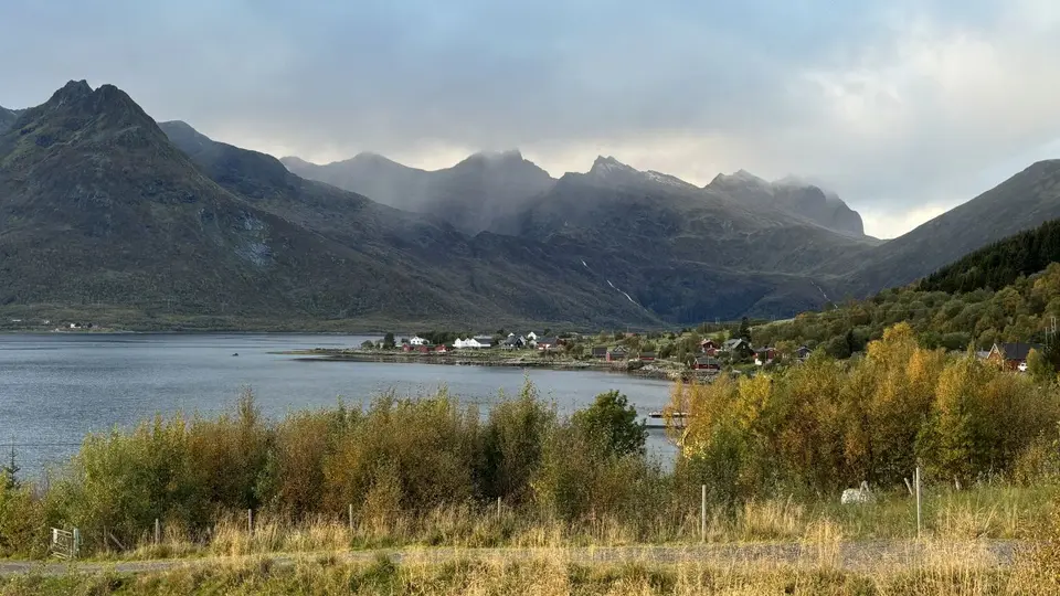 1105_2.jpg