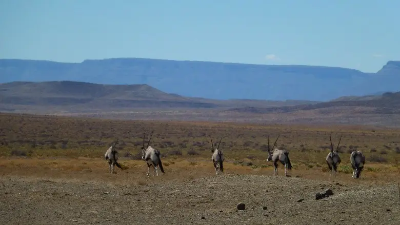2012SA0198.JPG