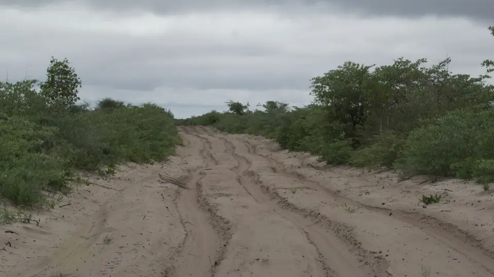 2016Botswana0538.jpg