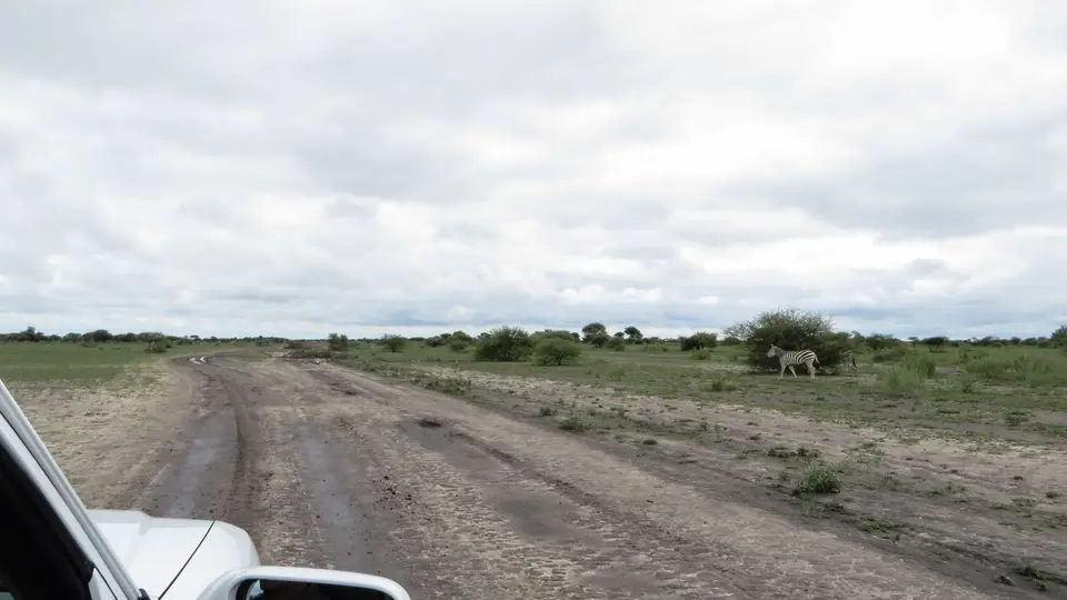2016Botswana0552.jpg