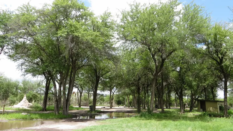 2016Botswana0654.jpg