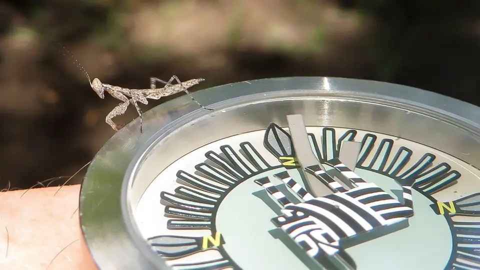 2016Botswana0660.jpg