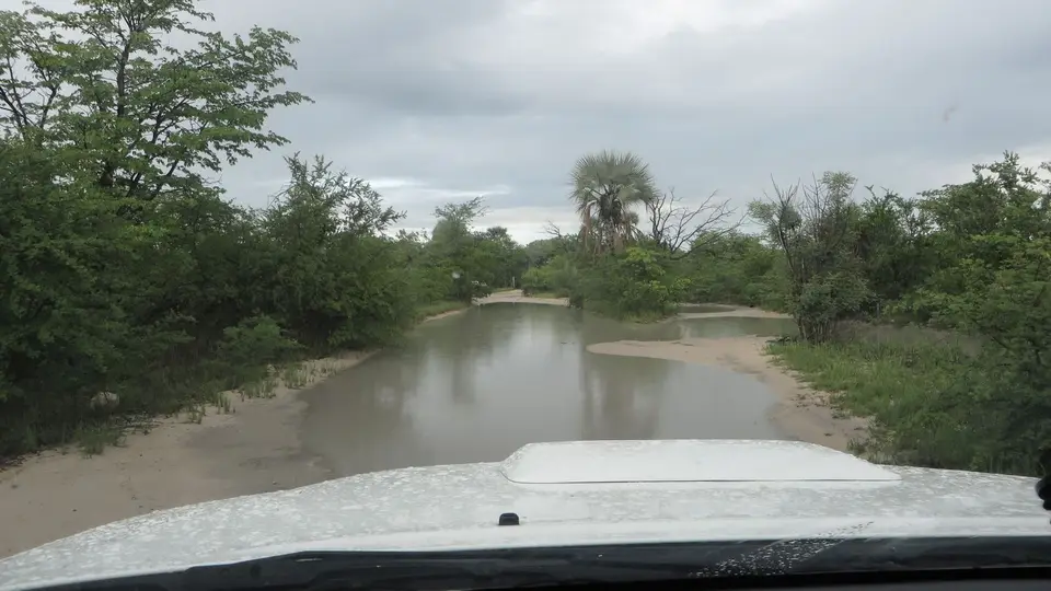 2016Botswana1716.jpg