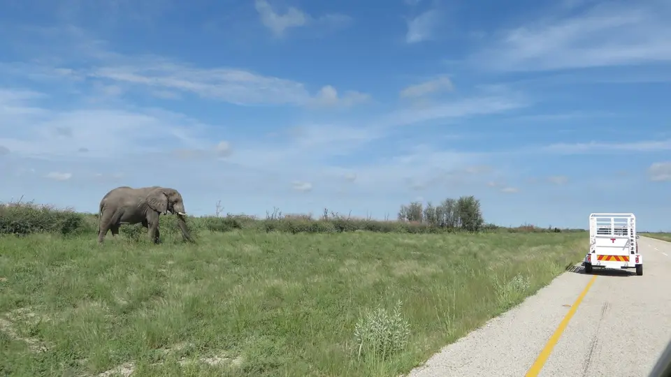 2016Botswana2019.jpg