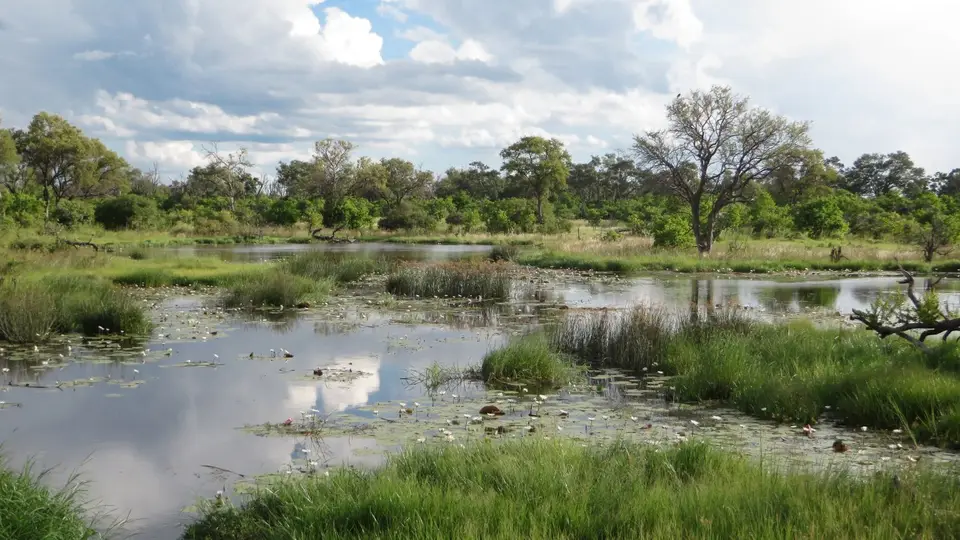 2016Botswana2065.jpg