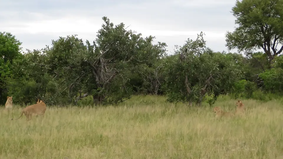 2016Botswana2090.jpg
