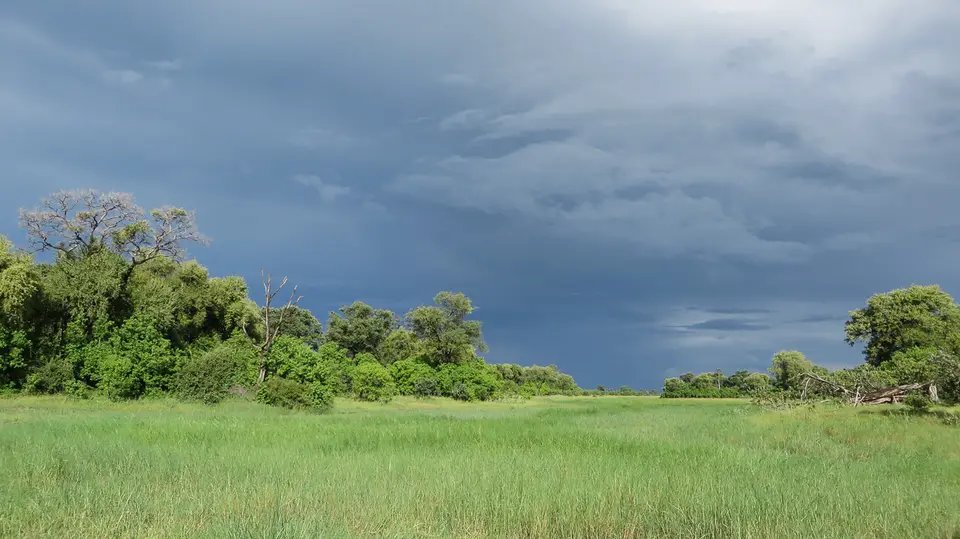2016Botswana2177.jpg