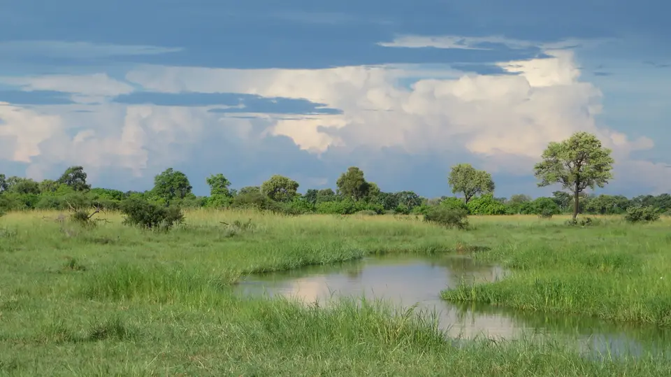 2016Botswana2180.jpg