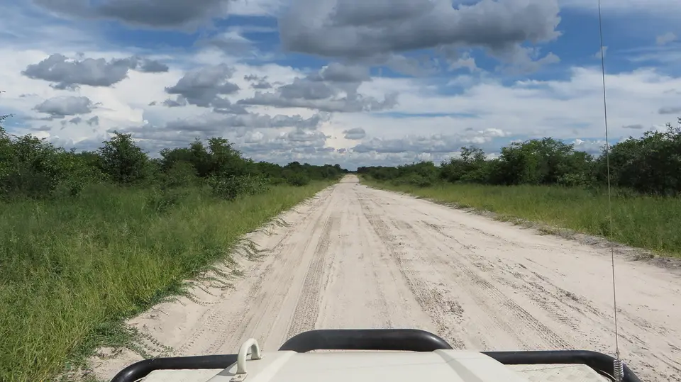 2016Botswana2240.jpg
