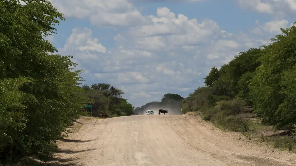 2016Botswana2909.jpg
