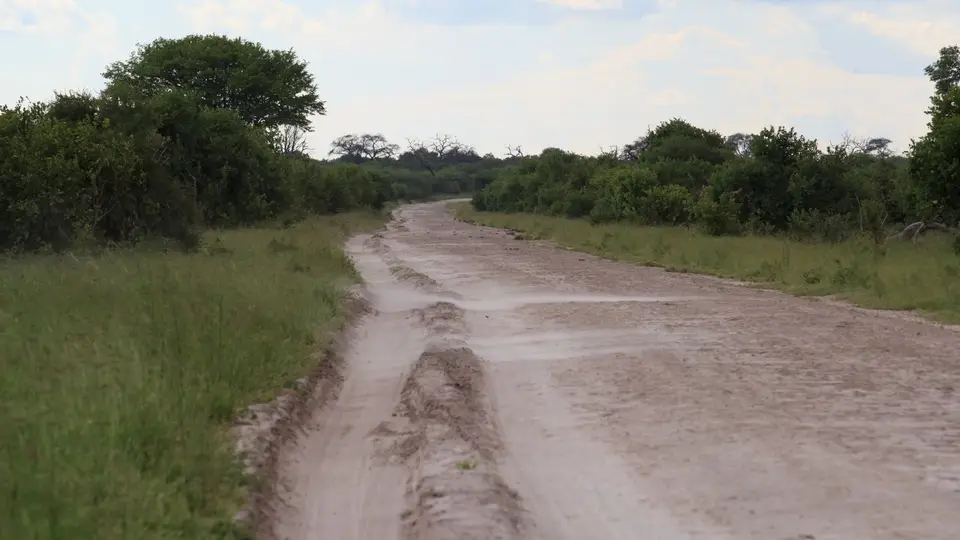 2016Botswana2935.jpg