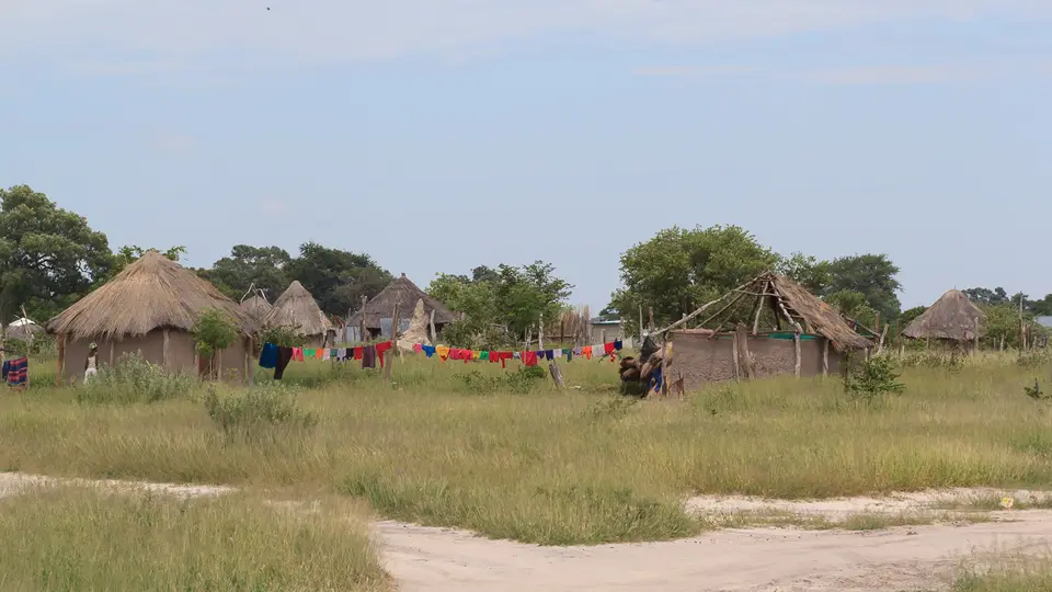2016Botswana3266.jpg
