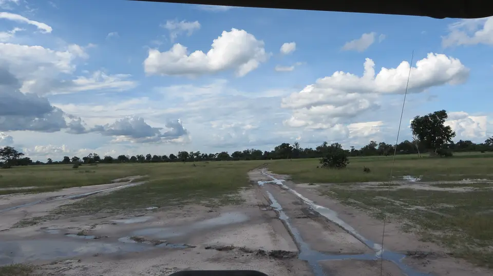 2016Botswana3318.jpg
