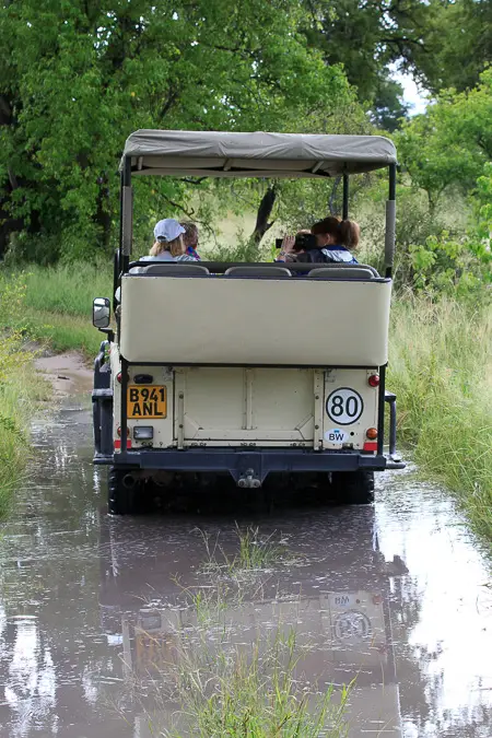 2016Botswana3513.jpg