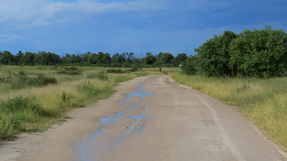 2016Botswana3516.jpg