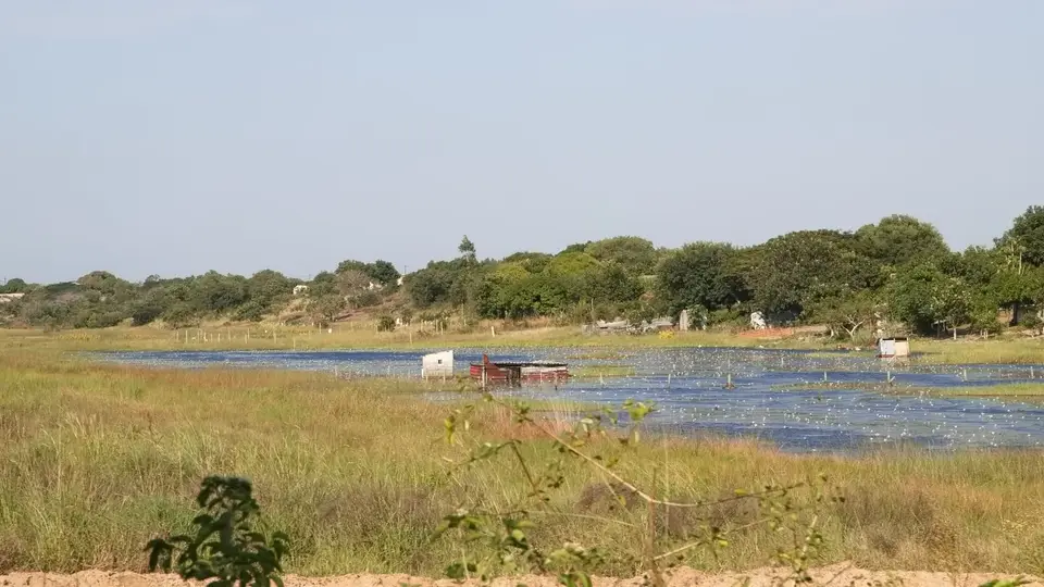 2023SA0001.jpg