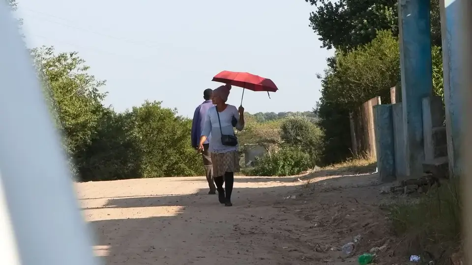 2023SA0002.jpg
