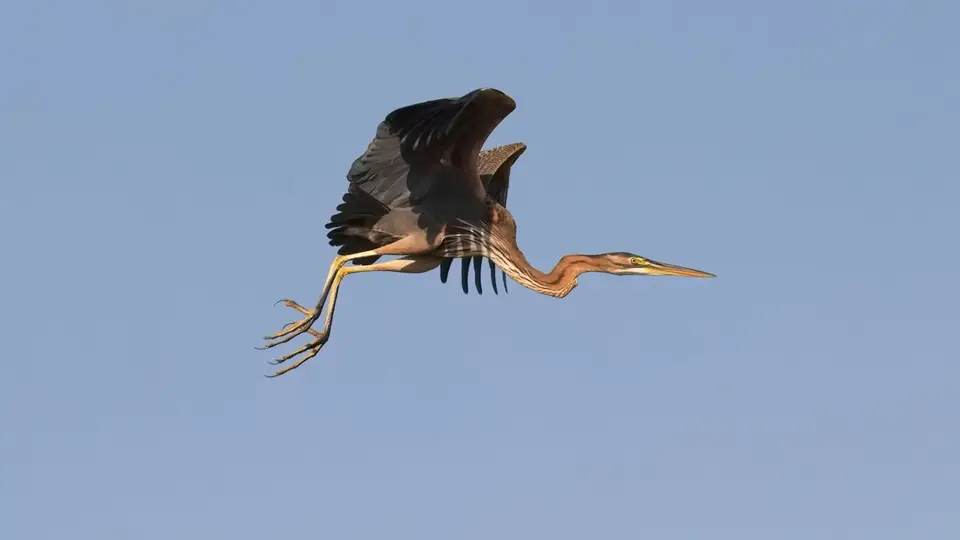 2023SA0045.jpg