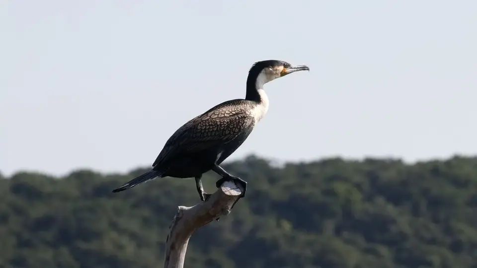 2023SA0059.jpg