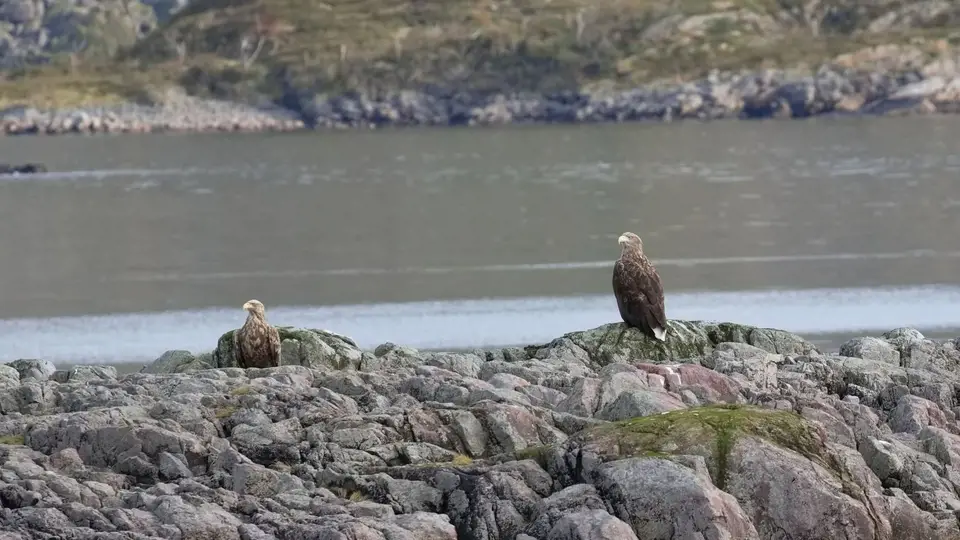 2024Norwegen0156.jpg