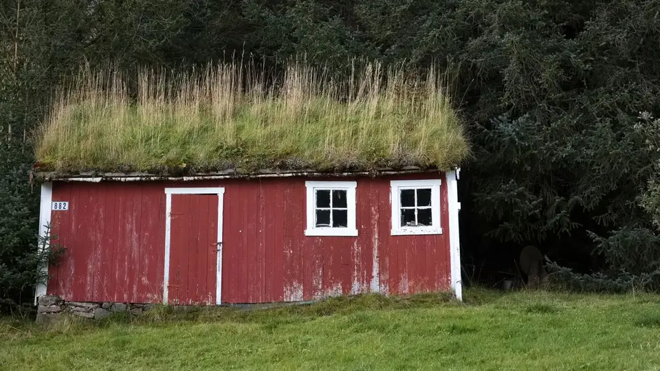 2024Norwegen0325.jpg
