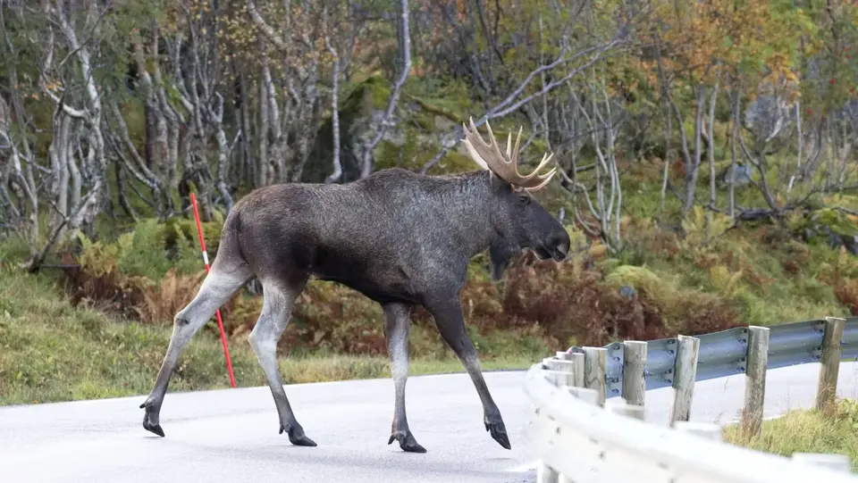 2024Norwegen0459.jpg